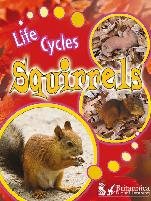 Squirrels [electronic resource]